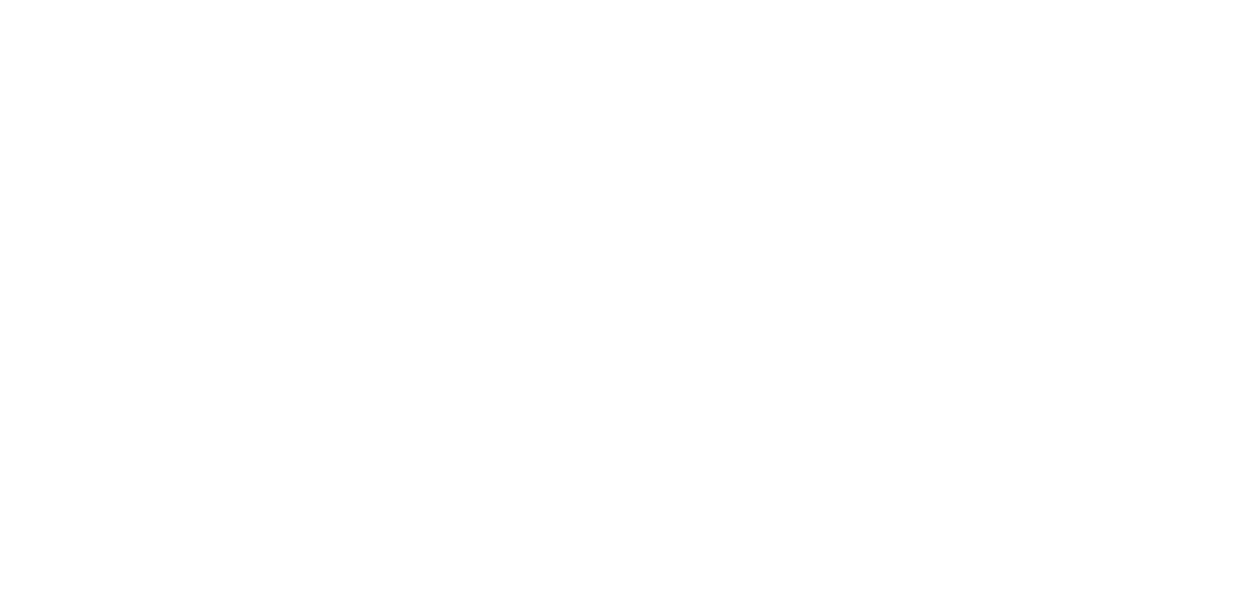 GTI - Georgia Travel International